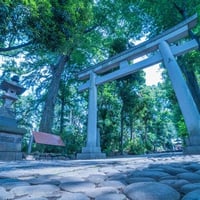 氣の針施術 身体の痛みや疲れをスッキリさせます