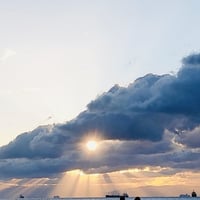 思考・行動をするよう仕向ける