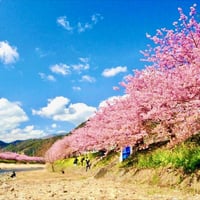 嫌な人が近づかないようにする