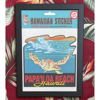 Papa'lloa beach Honu