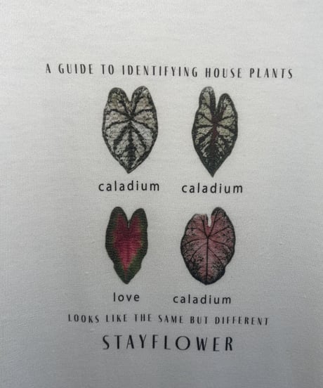 ORIGINAL T-SHIRT :Caladium lovers