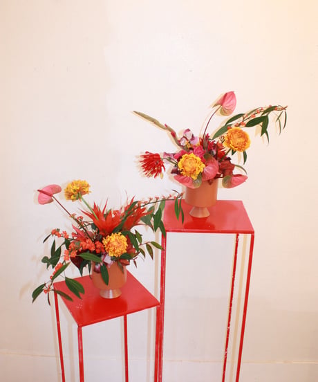 CATEGORY 生花 | STAYFLOWER ONLINE
