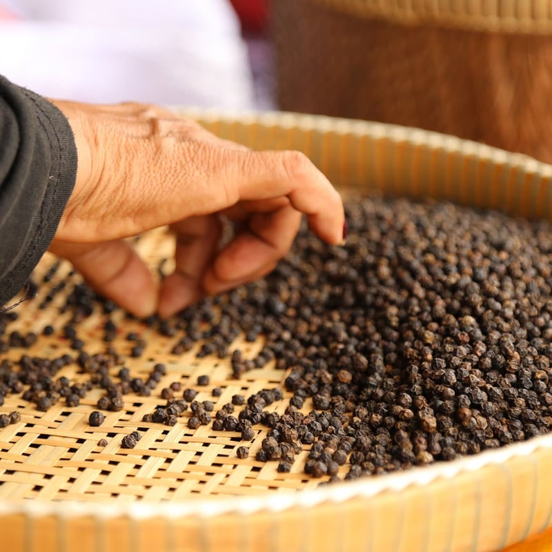 生胡椒の塩漬け」 25グラム瓶 | & CAMBODIA