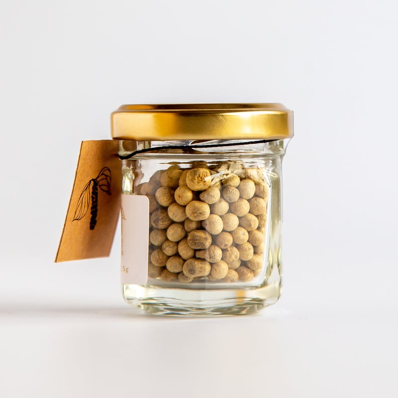 コショウ Amazon.co.jp: 黒胡椒(コショウ)苗【果樹苗 9cmポット挿木苗/1個】流通