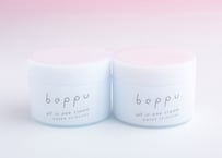 【定期便】いつでもやめられる！　Beppuオールインワンクリーム　80g2個セット