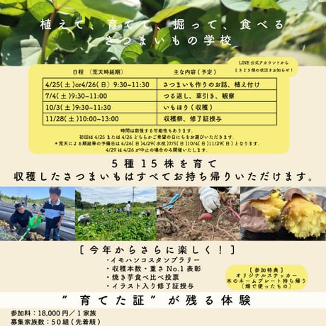 令和8年度さつまいもの学校[全4回コース]