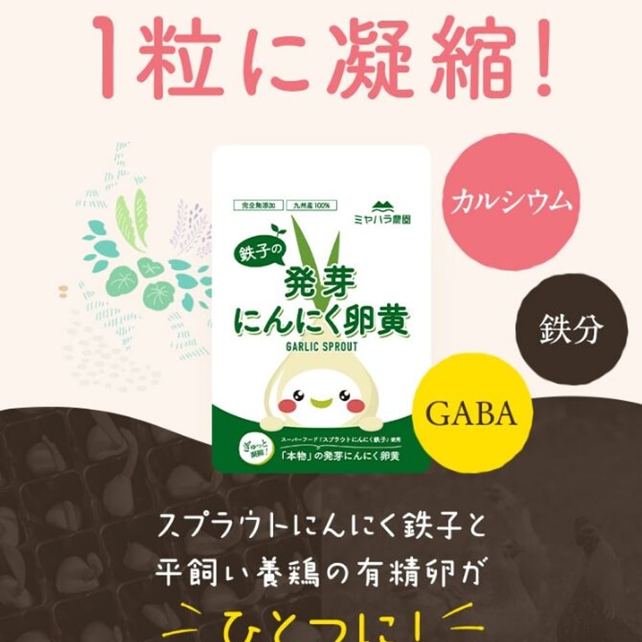 5d552a1f4c80643444527347