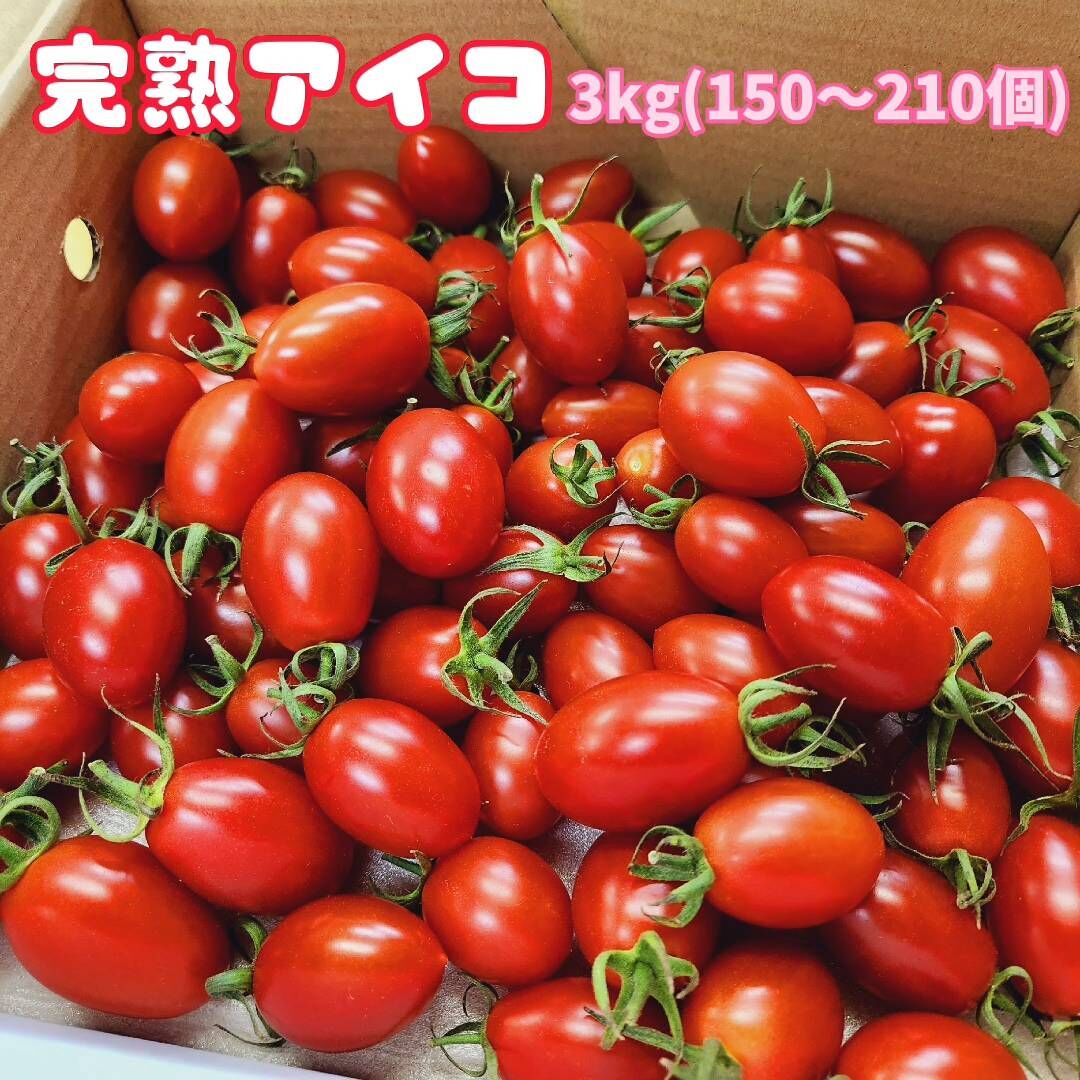 濃厚完熟アイコ☆ミニトマト☆３kg（150～210個）熊本県産　生産者直送！　ミヤハラ農園