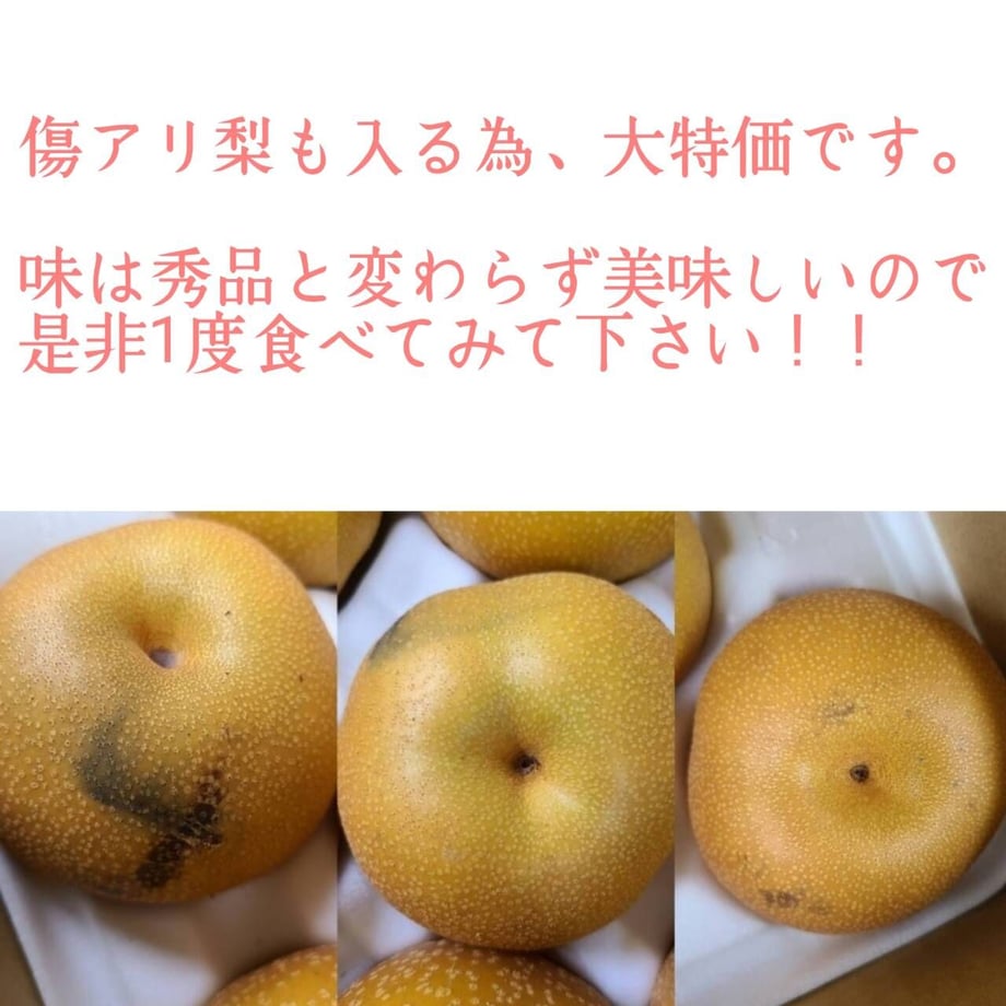 6124ed248a45721bdf5840f3