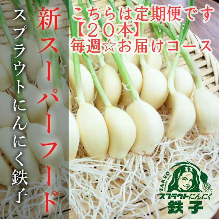 5fa76e66f0b10847a5db8813
