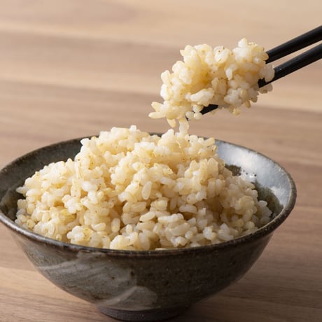 新米（玄米）自然栽培米２０kg（農薬、肥料、一切未使用）佐賀県産
