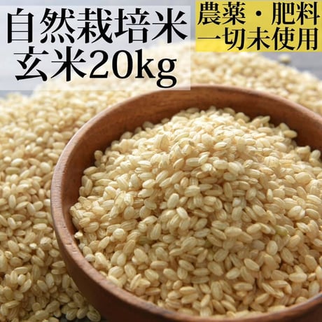 新米（玄米）自然栽培米２０kg（農薬、肥料、一切未使用）佐賀県産