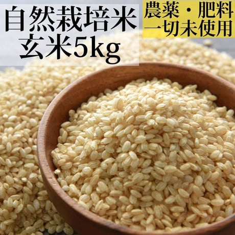 新米（玄米）自然栽培米５kg（農薬、肥料、一切未使用）佐賀県産
