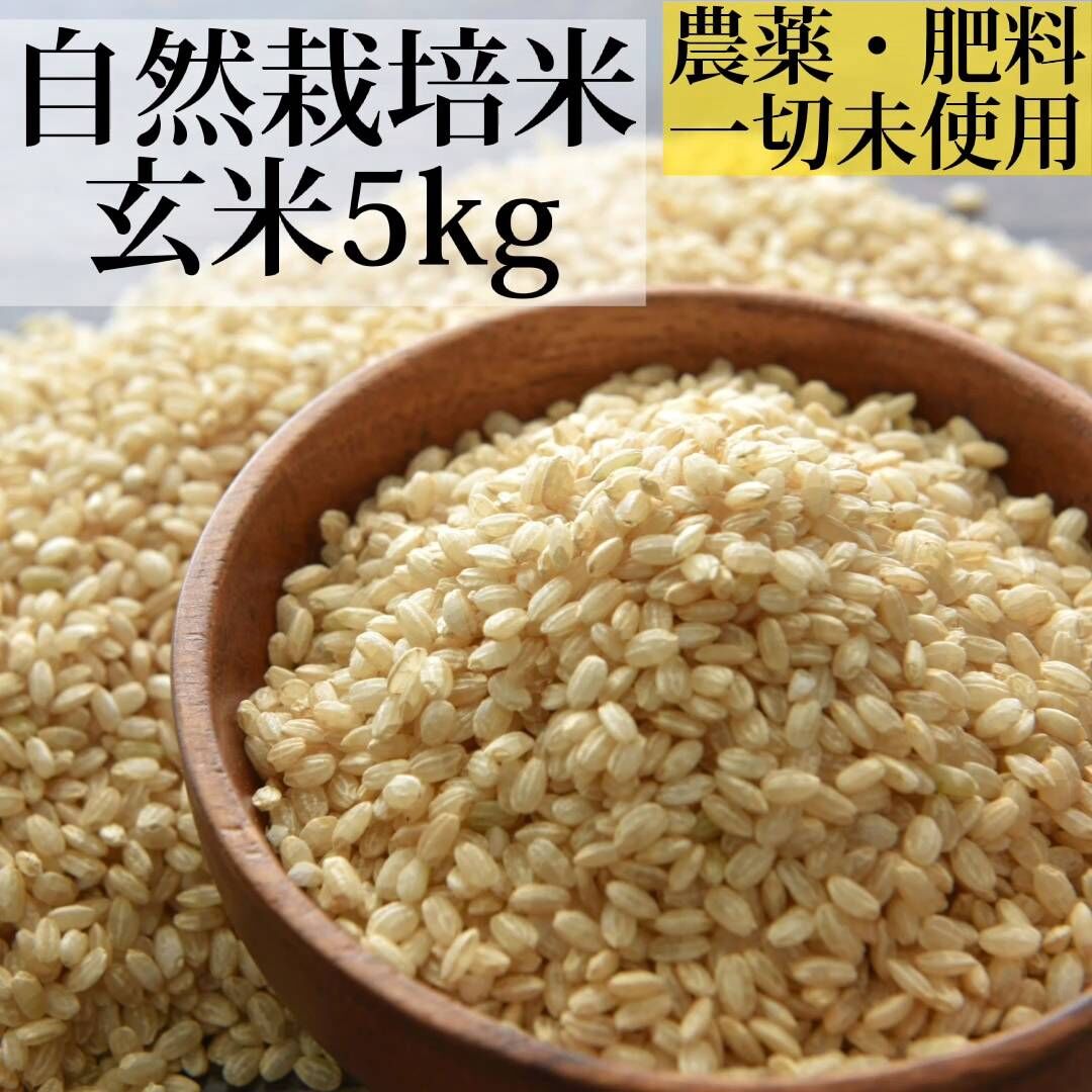 Natural farming食養学 令和5年 新米 自然栽培玄米 寝かせ玄米-