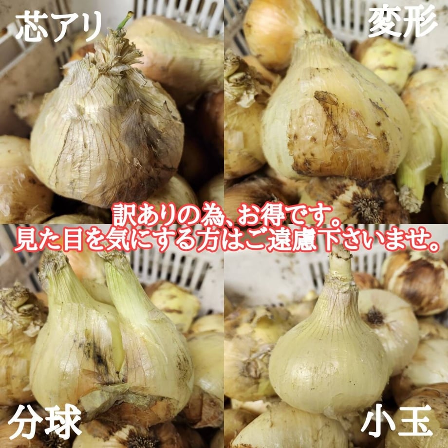 6076c07d230557284d8c18cf