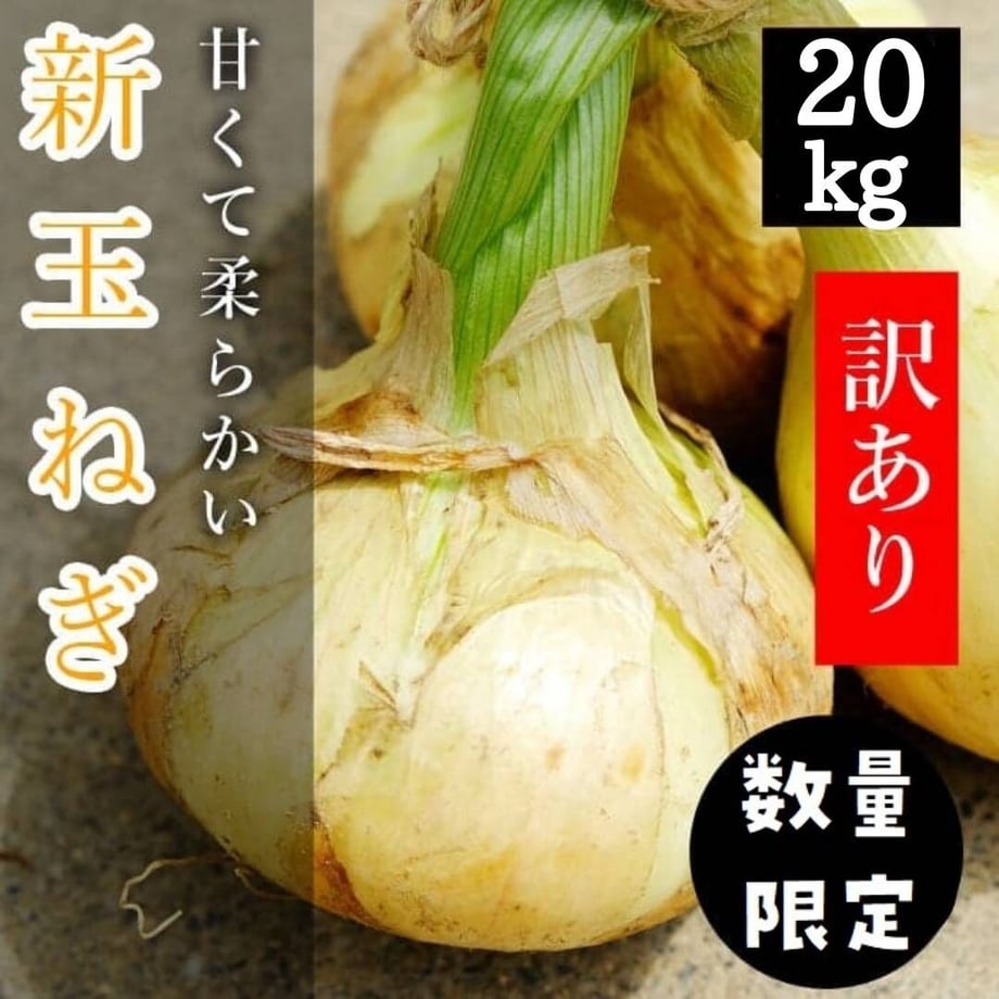 6076c07d230557284d8c18cf