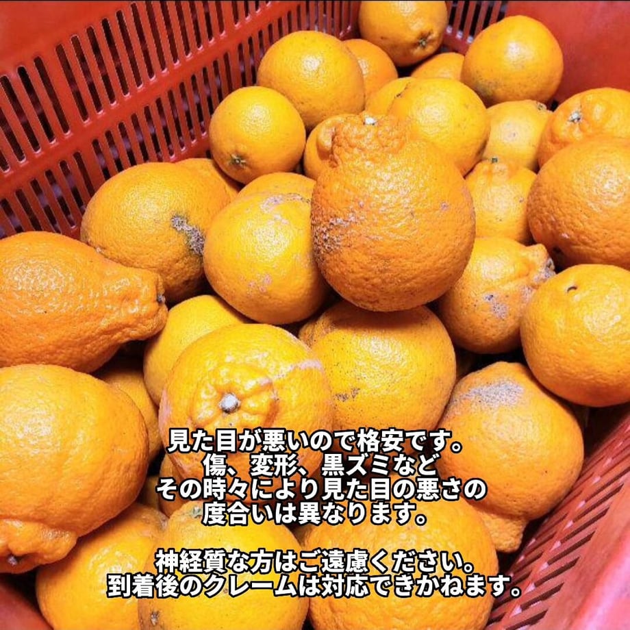 63f71f39f54f677de96af31e