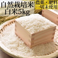 新米（玄米）自然栽培米２０kg（農薬、肥料、一切未使用）佐賀県産