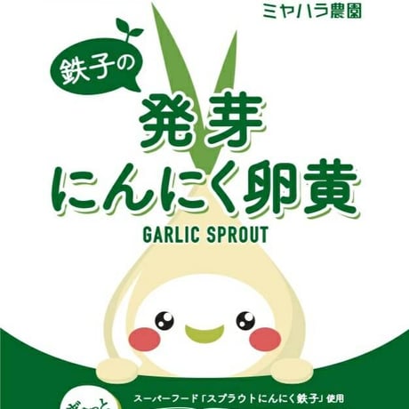 【定期便★毎月お届け】【初回特典付き★】【免疫力↑コロナに負けるな！】（1袋120粒 1ヶ月分）大手の約2.5倍の含有量「てつこの発芽にんにく卵黄」大好評！