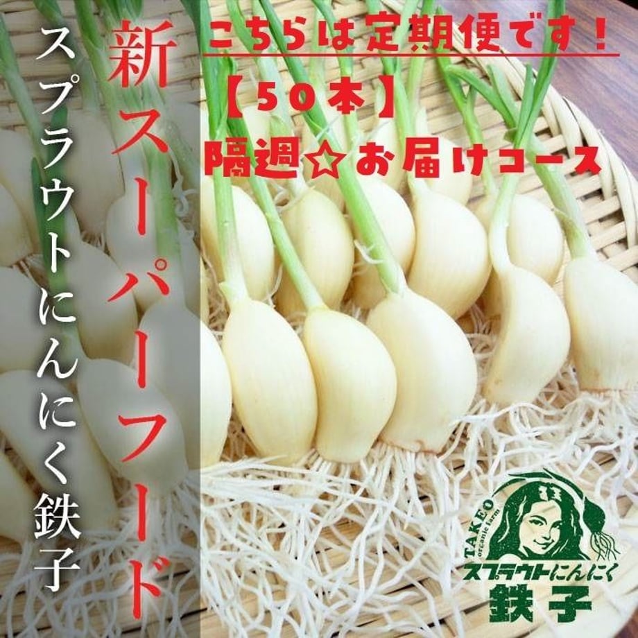 5dd675b64fb6c720bc71579f