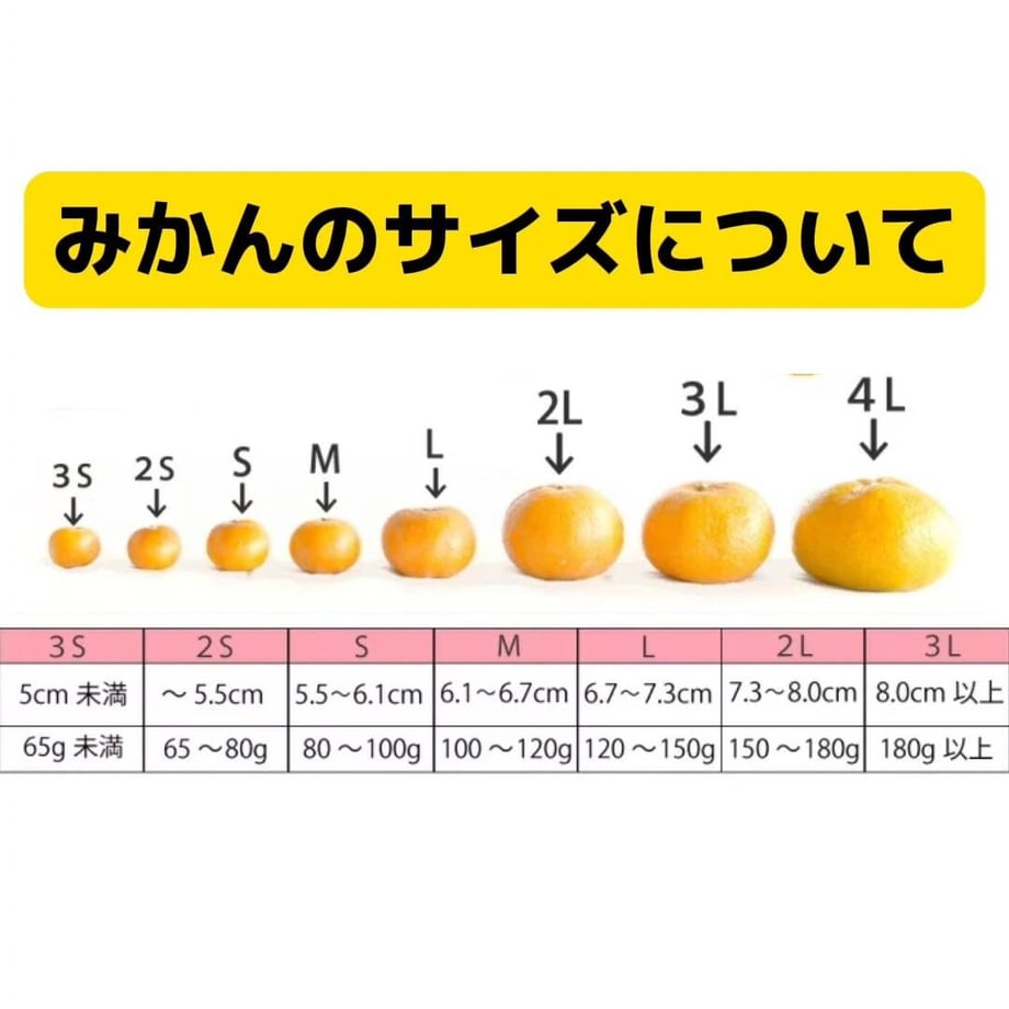 5fdc2877f0b1081b306d9a1c