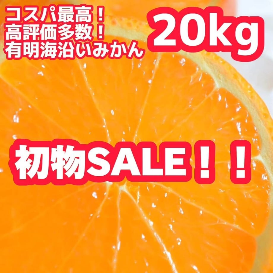5fdc2877f0b1081b306d9a1c