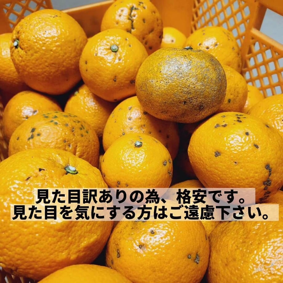 6416d5ee418fdf198477eafb