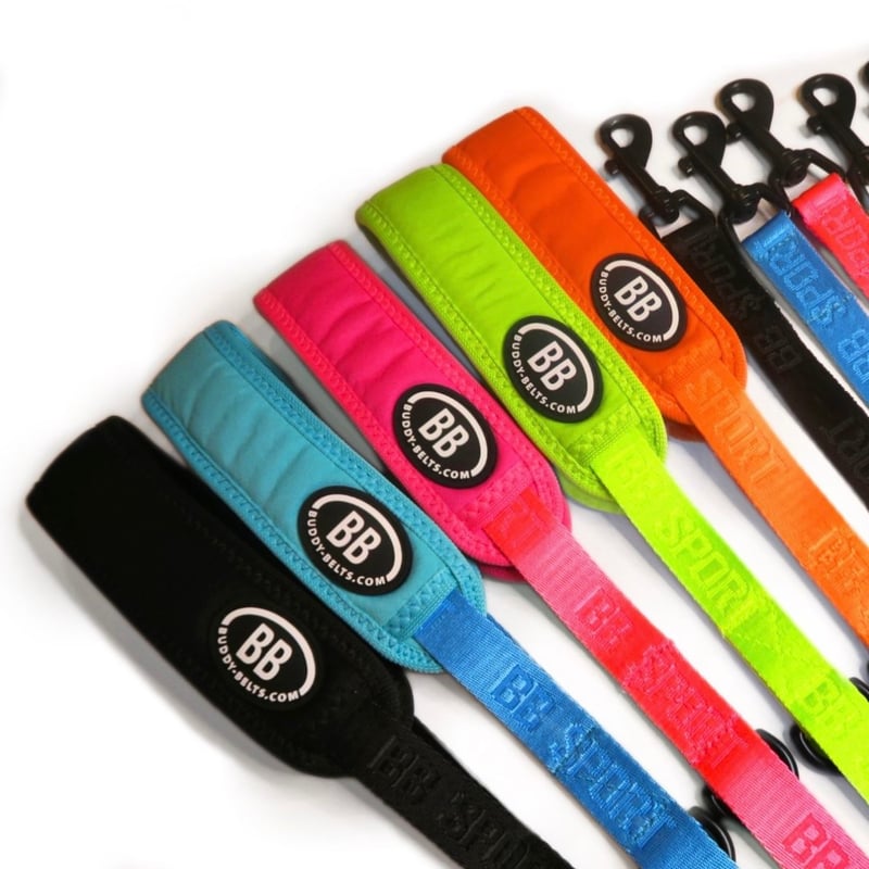 Buddybelt Sports 5号 （The BB Sport Vibrant col...