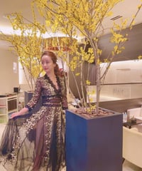 Vネックシースルーワンピース　2色展開