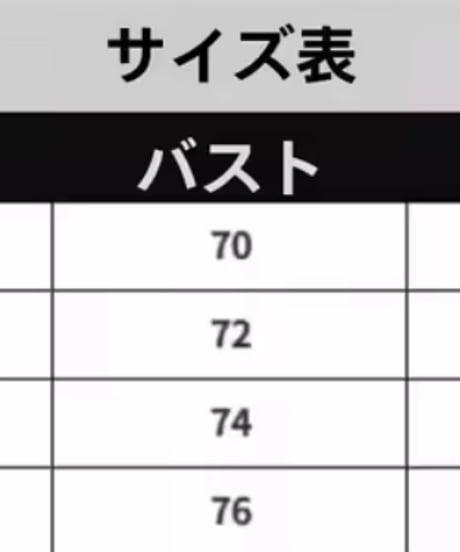 ボーダーワンショルトップス