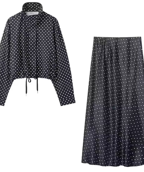 ドットセットアップ　2色展開