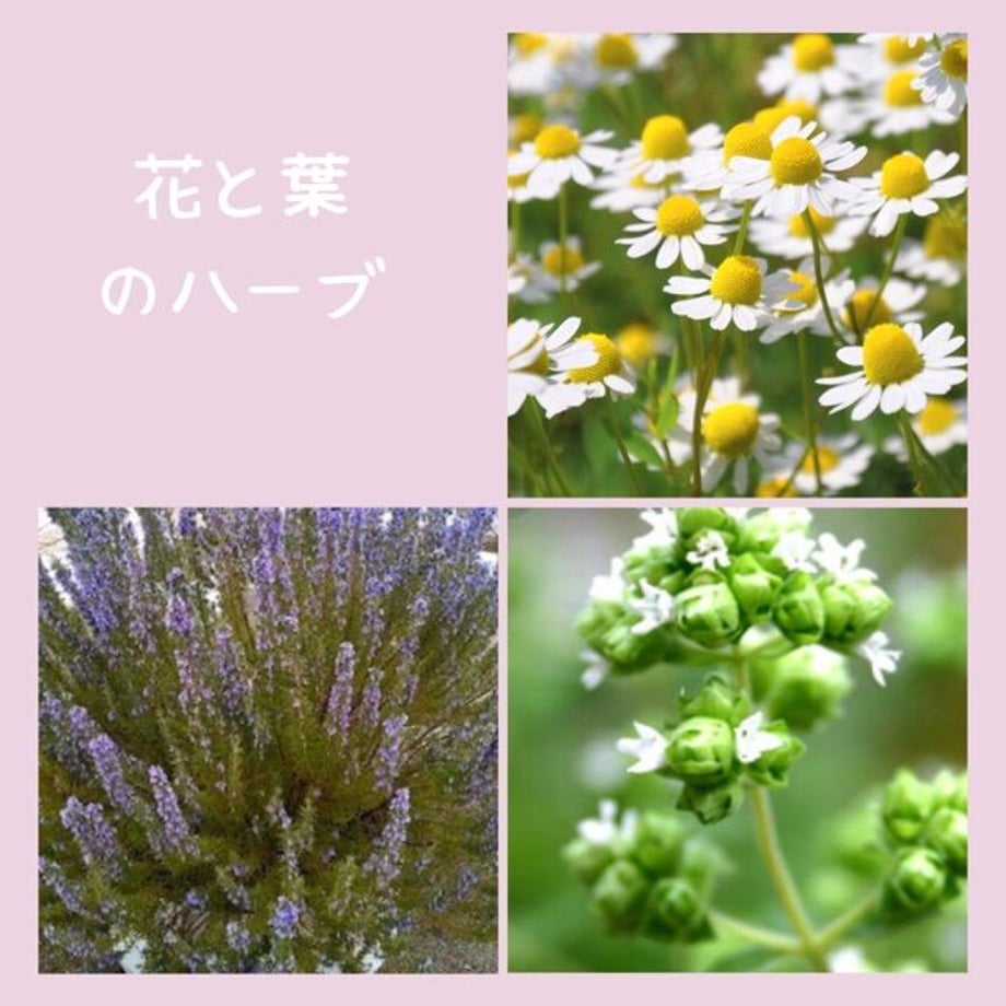 649e99e562bb05004db97507