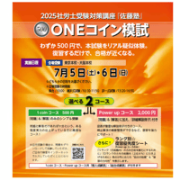社労士 2025年度試験対策講座『佐藤塾』 速修パック 労働科目