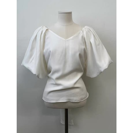 Back Ribbon Sheer V-Neck Blouse