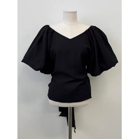Back Ribbon Sheer V-Neck Blouse
