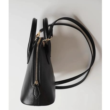 Mini Boston 2way Bag