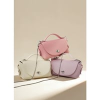 Mini Boston 2way Bag