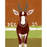 【日本画】12/29 Bontebokボンテボック『366DAYS』