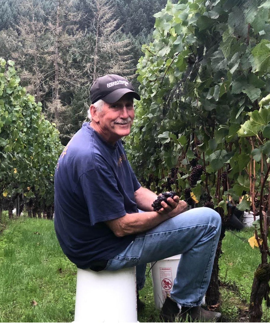 アンダーソンF】ピノノワール ダンディヒルズAVA 2017 -Anderson Famil