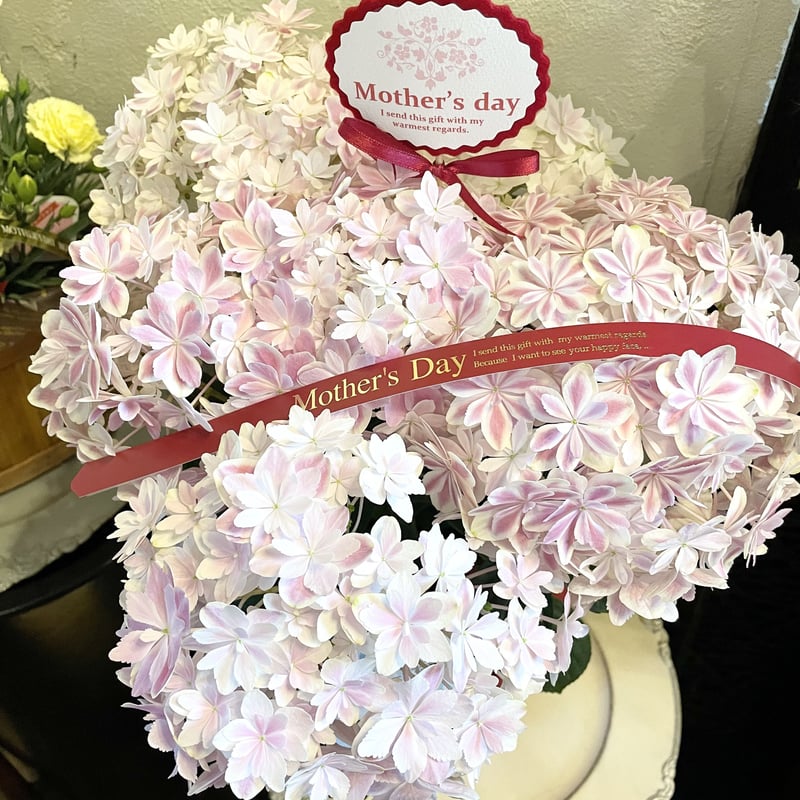 花桃ページ あじさいの鉢植え 万華鏡 ピンク 5号鉢 母の日に贈る花 アジサイ