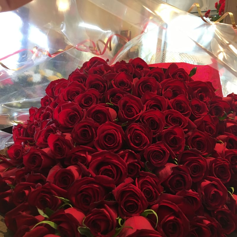 ロシアの紅い薔薇専用 バラ苗 鉢植え6寸 2025 アンクレット Anklet 四季咲き 国産