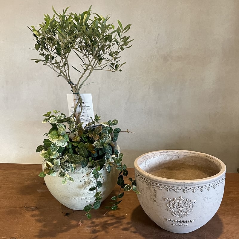 友膳 グラスファイバー ボール | 花fusa - オンラインストア