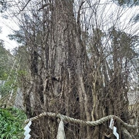 悪縁を切り良縁を結ぶ 貴船神社画像 ダウンロード販売