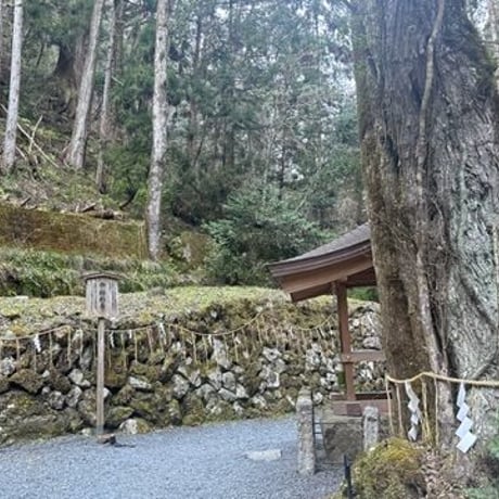 悪縁を切り良縁を結ぶ 貴船神社画像 ダウンロード販売