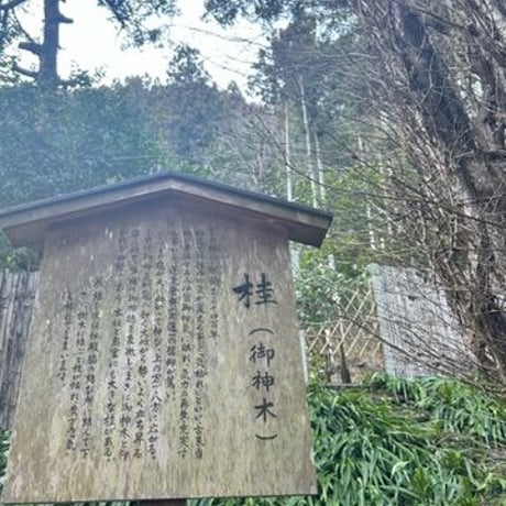 悪縁を切り良縁を結ぶ 貴船神社画像 ダウンロード販売