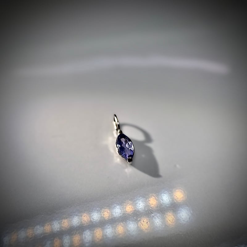 プラチナ900 タンザナイトペンダントトップ 0.2ct | pundarika