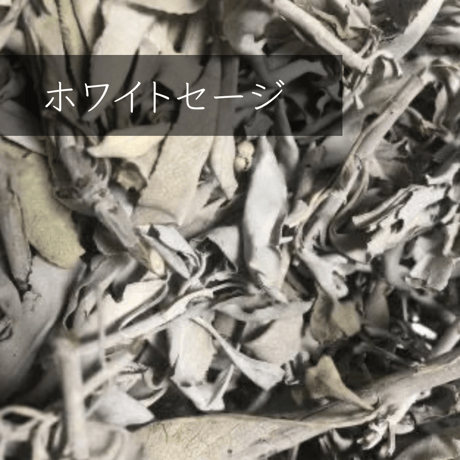CATEGORY 悪縁を断ちたい | pundarika