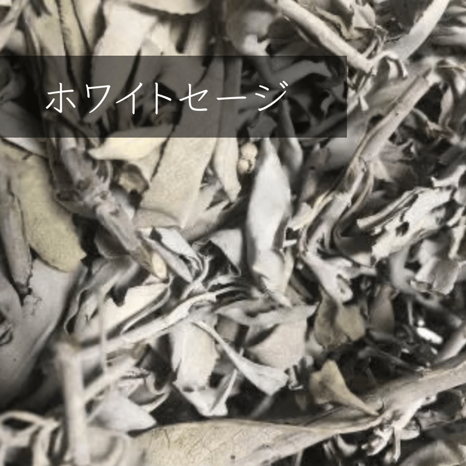 6010f6736e84d57a39145f0b