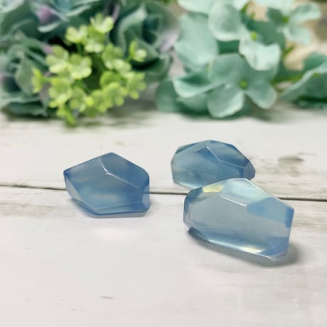 CATEGORY 3月 | pundarika