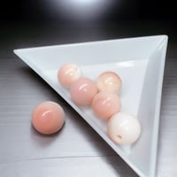 【粒売り】クィーンコンクシェル10mm 女性性、育む